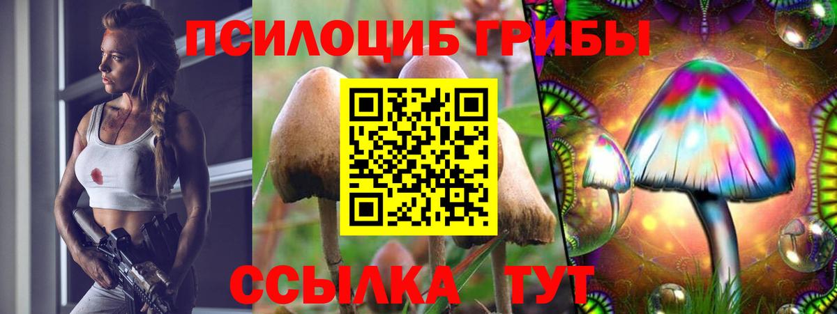 Псилоцибиновые грибы мухоморы Феодосия