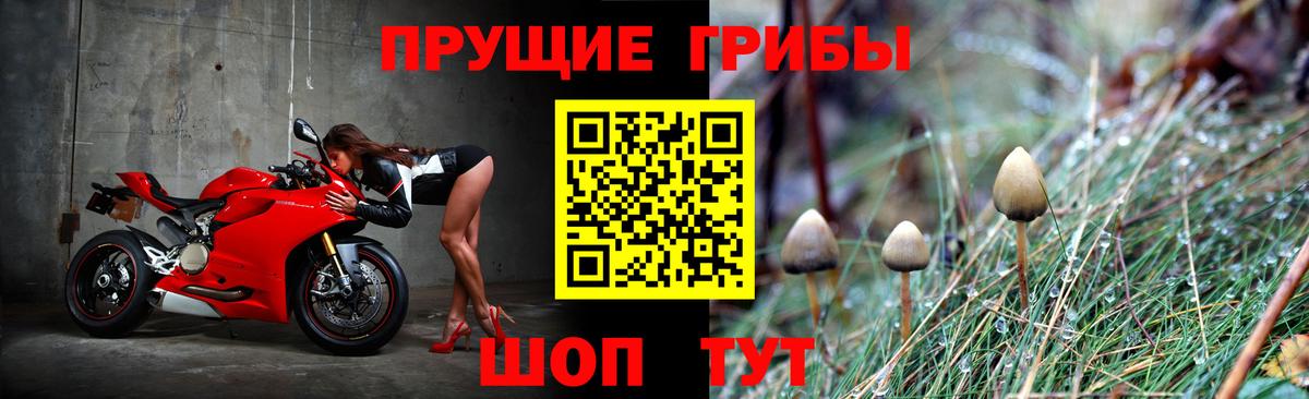 Галлюциногенные грибы мухоморы  Вход с VPN  Псилоцибиновые грибы прущие грибы  Феодосия 